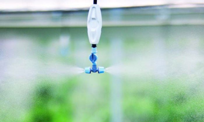 Béc Phun Sương Tưới Lan Béc Phun Sương Tưới Lan